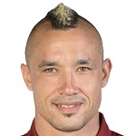 Radja Nainggolan